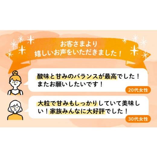 ふるさと納税 福岡県 豊前市 爽やか春あまおう約285g×4パック 《豊前市》?【北海道…