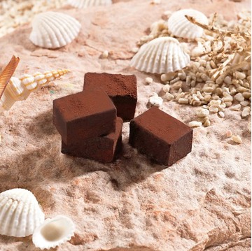 【巧克力雲莊】鹽之花生巧克力