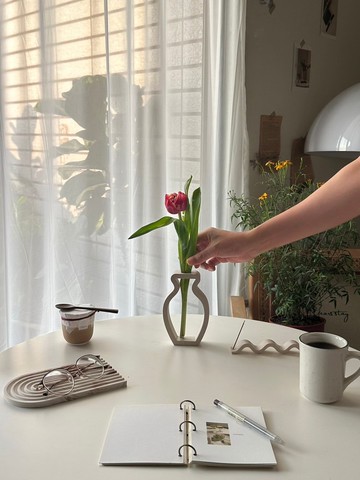 | THE VENUSIANS |    金星男子透光花器