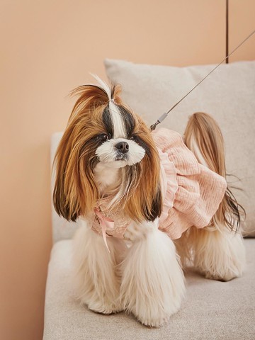 Pink lace harness