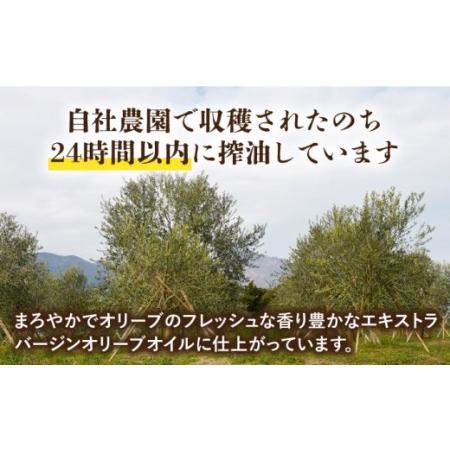 ふるさと納税 南島原産 オリーブオイル S島原 2本 セット   南島原市   ふるさと企画[SBA002] 長崎県南島原市