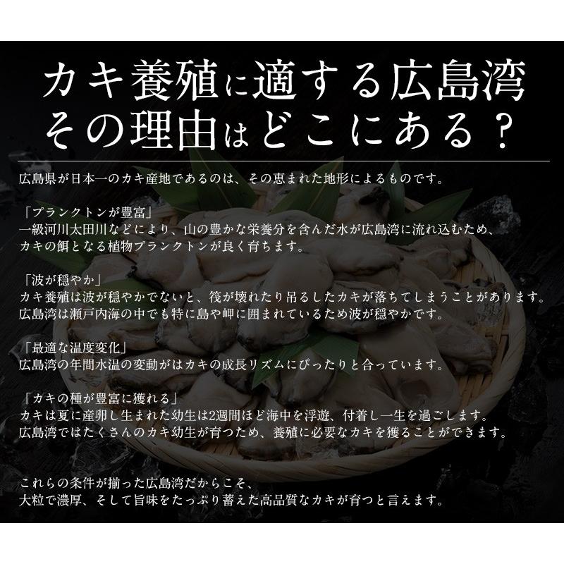 カキフライ 700g（大粒20粒） 牡蠣フライ カキ 牡蠣 かき 広島県産 冬グルメ 冬ギフト