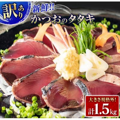 ふるさと納税 日南市 規格外!新鮮かつおのタタキ(計1.5kg)