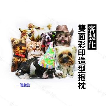 客製化 雙面彩印造型抱枕 來圖訂製 仿真抱枕 擬真抱枕 寵物抱枕 照片抱枕 動曼同人創作 偶像明星 抱枕