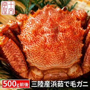 三陸産 浜茹で毛蟹 500g前後 大サイズ 毛ガニ 毛がに けがに ケガニ 堅蟹 ボイル 産地直送 宮城県産 岩手県産 かに カニ 蟹味噌 カニミソ