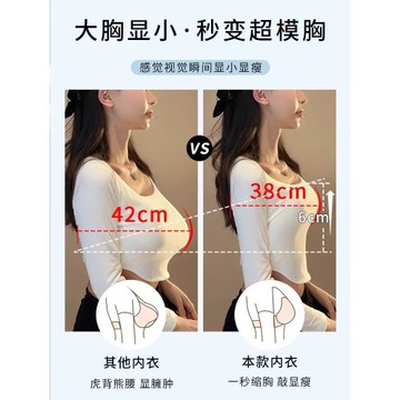 內衣女防下垂收副乳聚攏大胸顯小胸罩薄款無鋼圈果凍條軟支撐文胸