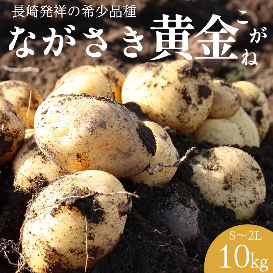 希少品種 ながさき黄金 じゃがいも 長崎県産 10kg 芋 野菜 サイズ混合 S〜2L 馬鈴薯 ジャガイモ 九州 やさい