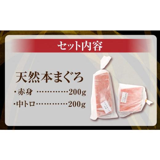 ふるさと納税 大阪府 高槻市 極上！たね熟天然本まぐろ赤身＆中トロセット(400g 各200g)