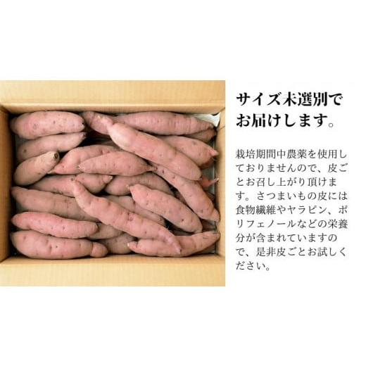 ふるさと納税 茨城県 つくばみらい市  つくばみらい市産 さつまいも 紅はるか 土付き5kg サイズ未選別 サツマイモ つくばみらい いも 照沼 食物…