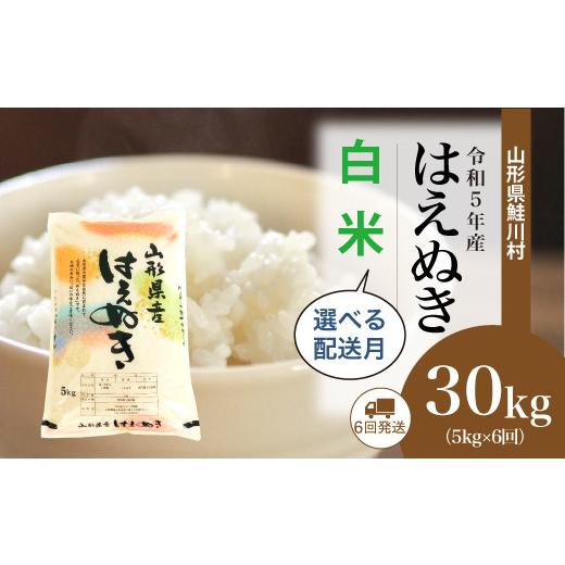 ＜令和5年産＞ 鮭川村産 はえぬき  定期便 30kg （5kg×1か月間隔で6回お届け）