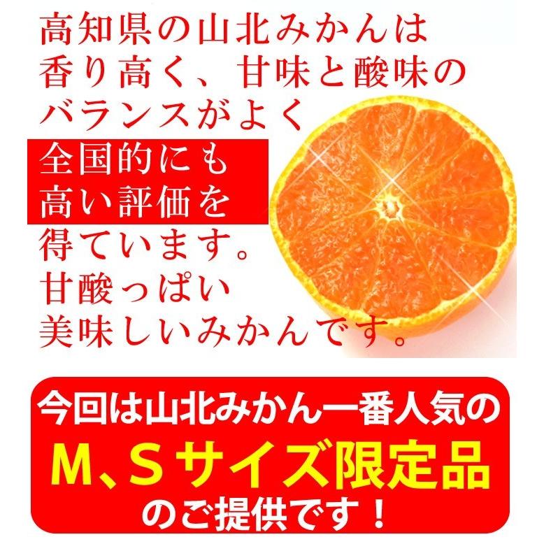 山北みかんMSサイズ限定　10kg　みかん蜜柑　中級品　高知産