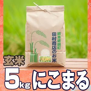 5年産　熊本県産米にこまる玄米5kg（調整済み）