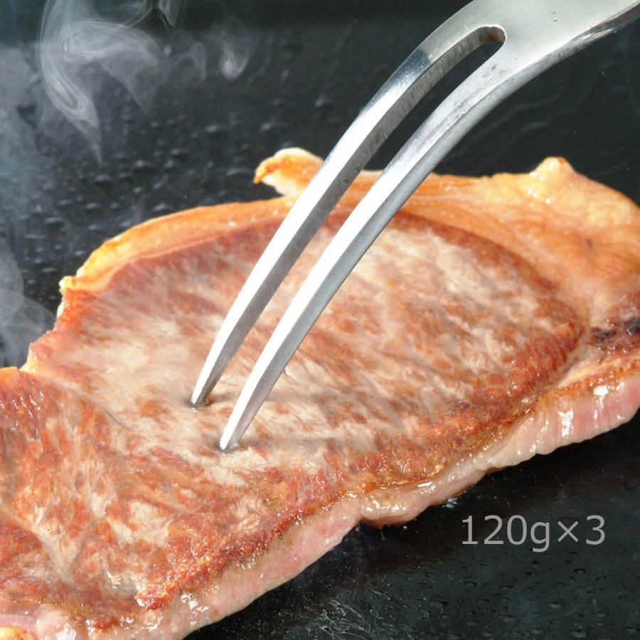 宮崎県産 黒毛和牛 ロースステーキ 3枚 牛肉 国産 和牛 ロース ステーキ 高級 牛ロース ステーキ肉 高級 肉 贅沢