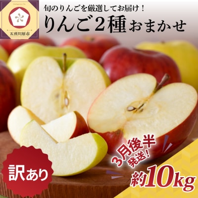 りんご約10kg青森産品種おまかせ2種以上