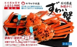 石川県産 加能かに ズワイガニ 産地証明タグ付 訳あり 足折れ 中サイズ 2～3匹 合計1.5kg ※茹で上げ前重量