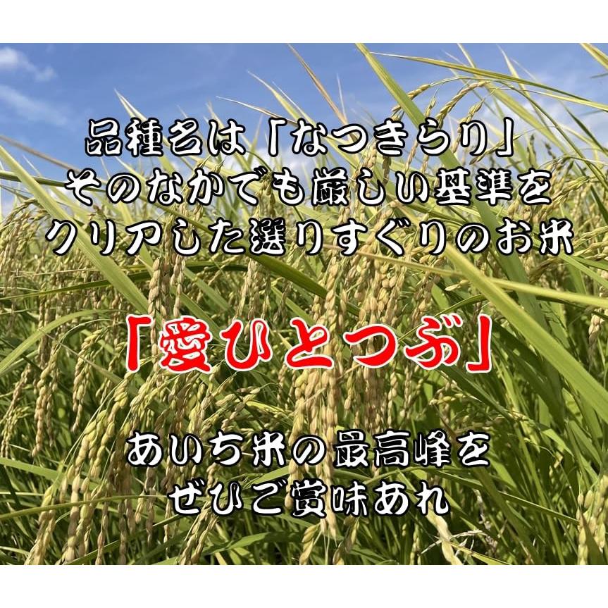 パールライス 愛知県産 白米 愛ひとつぶ 5kg令和5年産