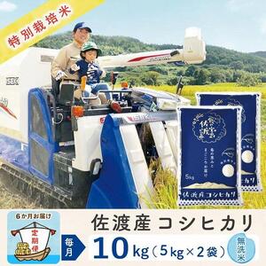  佐渡島産コシヒカリ 無洗米10Kg 特別栽培米