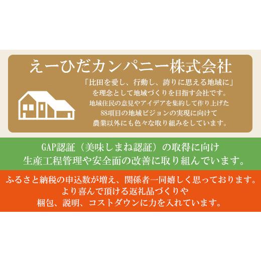 ふるさと納税 島根県 安来市 比田米 きぬむすめ 2kg×6ヶ月 定期便（毎月）令和5年産