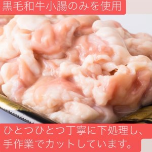 博多の名物!!創業1987年老舗和牛もつ鍋　醤油味　8、9人前