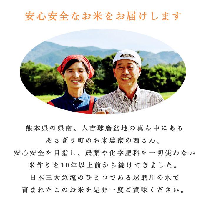 令和5年産 特別栽培米 森のくまさん 10kg 選べる精米歩合 お米 白米 玄米 5分づき 7分づき 熊本県産 農薬不使用 化学肥料不使用 