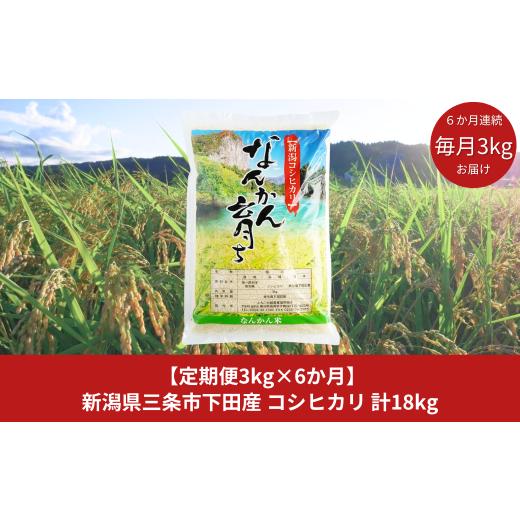 ふるさと納税 新潟県 三条市 [定期便 3kg×6か月] 新米 コシヒカリ 新潟県三条市下田産 こしひかり 計18kg 令和5年産米 6か月連続でお届け  [JAえちご中越] 【…