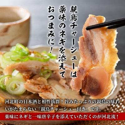 ふるさと納税 河北町 かほく冷たい肉そば10食セット