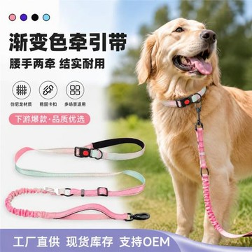寵物狗狗漸變彩色背帶牽引繩彈力伸縮遛狗外出專用遛狗繩小狗用品
