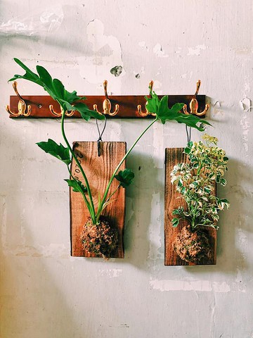 【可來圖客製】綠上板・開幕送禮/創意門牌/質感告示牌/營業掛牌