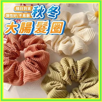 🔥現貨+隔日到店🔥大腸髮圈 彈力大腸圈 馬尾髮圈 腸束髮圈 造型髮圈 甜美髮圈 韓版髮圈 綁髮繩 彈力髮圈 1115