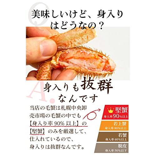 北海道産 毛がに 2尾セット 450g×2尾 お歳暮 御歳暮