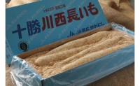 十勝川西長いも（2.5kg）