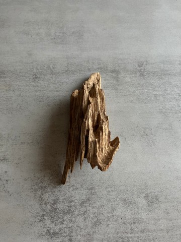 野生芽莊沉香老料S14(15.5克)