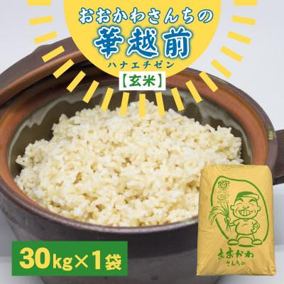 ふるさと納税 坂井市 おおかわさんちの華越前 玄米 30kg [C-10801]