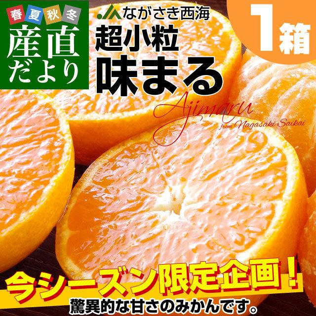 長崎県 JAながさき西海「味まる」2Sから3Sサイズ 超小粒4.5キロ 1箱（たっぷり75玉前後）送料無料　みかん ミカン 蜜柑 高糖度みかん