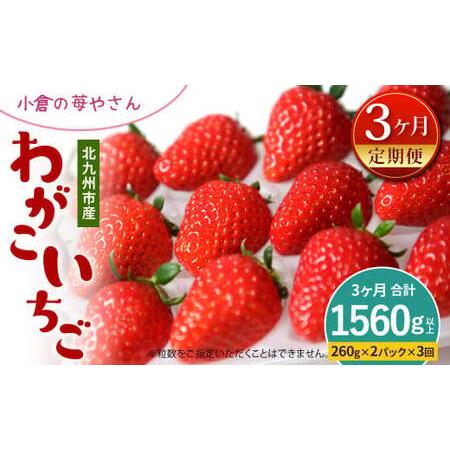 ふるさと納税 小倉の苺やさん「わがこいちご」 260g×2パック×3回 福岡県北九州市