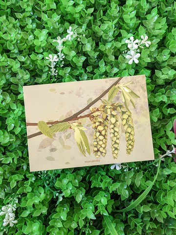 明信片 – 花卉系列 – 香港鵝耳櫪