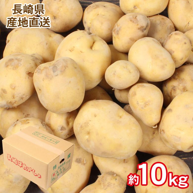 送料無料 産地直送 長崎県産 長崎 じゃがいも 秀品 10kg サイズ M〜2L