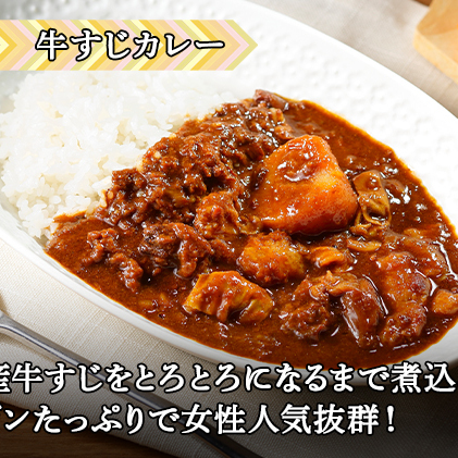 先行受付倶知安 牛すじカレー 北海道 計5個 中辛 レトルト食品 加工品 牛すじ 牛肉 野菜 じゃがいも お取り寄せ グルメ スパイシー スパイス 【お肉・牛肉・加工食品