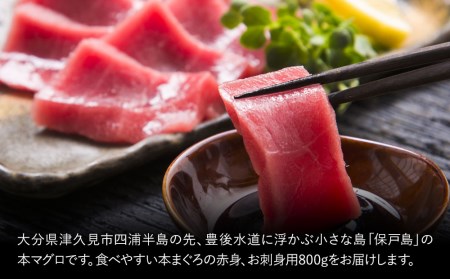 本マグロ まぐろお刺身用 赤身5人前(800g) 鮪 海鮮丼 刺し身 刺身 盛り合わせ 冷凍 魚の刺身 大分県産 九州産 津久見市 国産