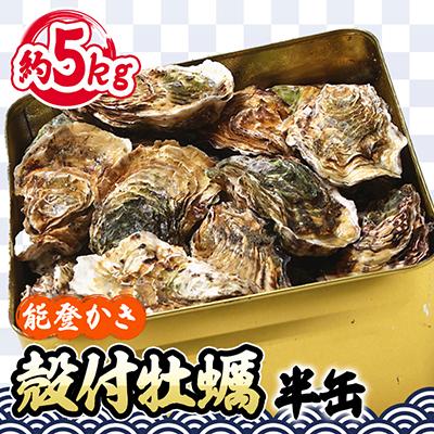 ふるさと納税 七尾市 能登牡蠣 殻付牡蠣半缶 約5kg(約40〜50個)専用ナイフ、片手用軍手付　※加熱用