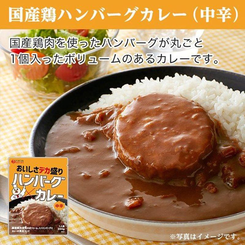 まとめ買い 当店チョイス 厳選カレー 計25食 バラエティセット ビーフカレー キーマカレー チキンカレー