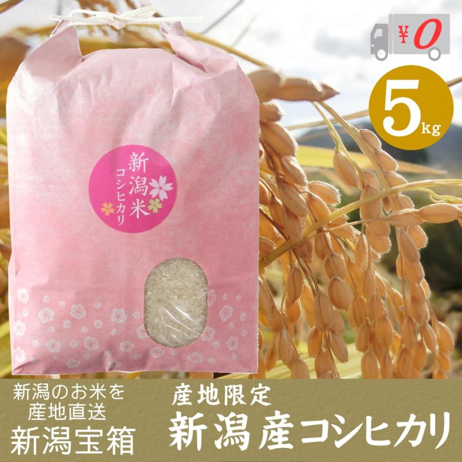 希少米 棚田米 新潟県産 コシヒカリ 5kg 新米 米 お米 白米 産地限定 送料無料