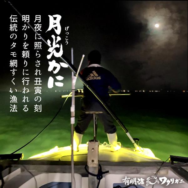 ワタリガニ直売 活〆 有明海 生 渡り蟹 約350g(S)×2尾 わたりがに 熊本県上天草市 旬 活締め冷凍 ボイルして本格パスタに［お歳暮 2023 ギフト 御歳暮］