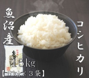 米 お米 令和5年産 新潟県 魚沼 コシヒカリ 5kg×3袋 合計 15kg