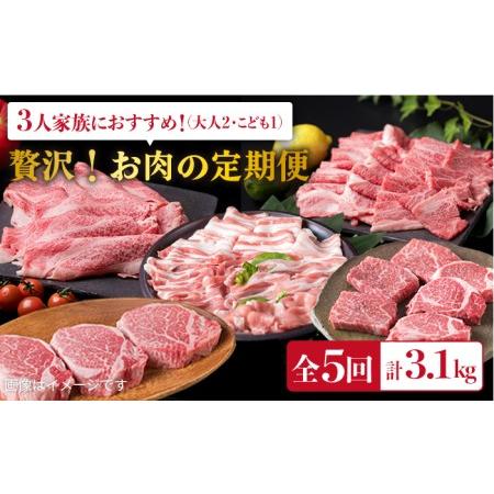 ふるさと納税 美味しさ満載！贅沢お肉の定期便全5回（月1回） 3人家族用 (福岡 糸島産 牛肉 豚肉 鶏肉 ステーキ しゃぶしゃぶ すき焼き ヒレ シ.. 福岡県糸島市