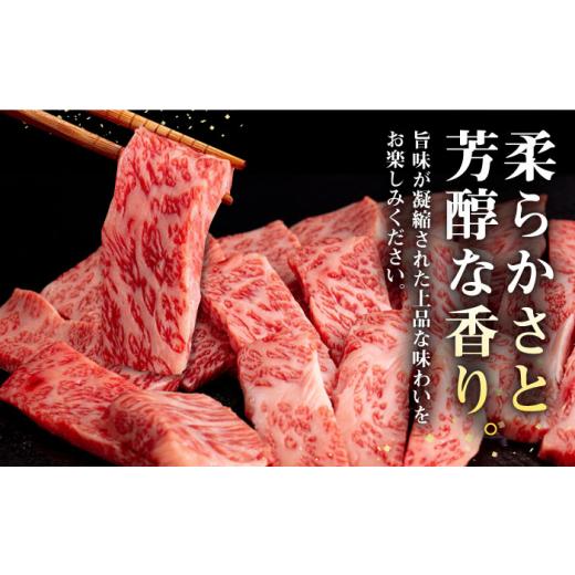 ふるさと納税 長崎県 壱岐市  壱岐牛 焼肉用 モモ・バラ（カルビ） 500g《壱岐市》 肉 牛肉 焼肉 モモ バラ カルビ BBQ […