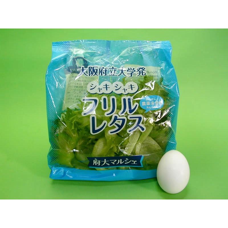 大阪府立大学植物工場　フリルレタス(約70g)　１２個（約840g）入り