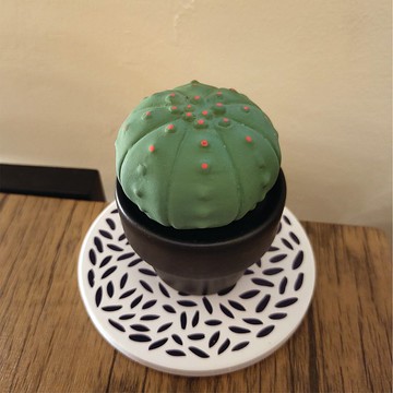 迷你渦流仙人掌陶瓷香薰機