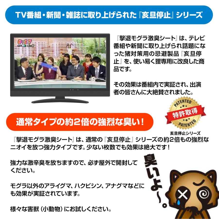 撃退モグラ激臭シート 3個入 激辛臭が約２倍の強力タイプ 効果は約１年間！ モグラ退治 もぐら撃退 モグラ忌避剤