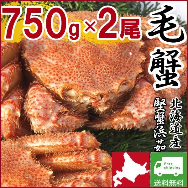 カニ 海鮮  (750g×2尾 特大 ギフト 北海道産)カニ(毛がに　けがに　毛ガニ)鍋セット 送料無料